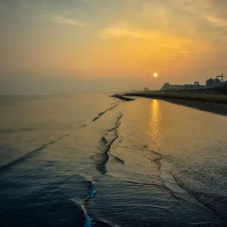 Charming Flat In Building With Solarium Apartment