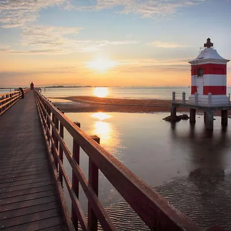 Charming Flat In Building With Solarium アパート